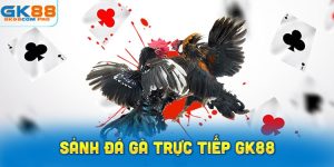 Giới Thiệu Sảnh Đá Gà trực tiếp GK88