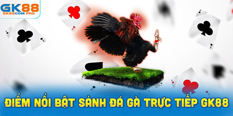 Khám Phá Đặc Điểm Nổi Bật Của Sảnh Đá Gà Trực Tiếp GK88